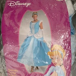 Cinderella Halloween Costume
